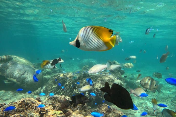 Blue Cave Okinawa Scuba Diving for Beginners — photo 7