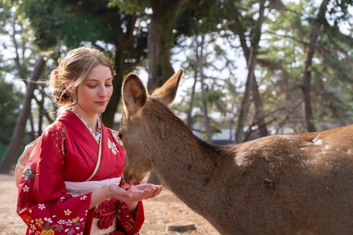 Nara Early Morning Tour (Kyoto or Osaka Departure Available) — photo 2