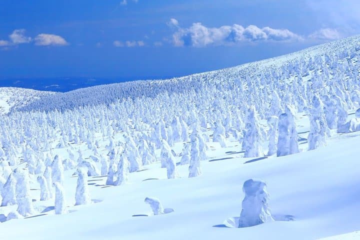 2-Day Tohoku Tour Zao Snow Monsters and Ginzan Onsen — photo 4