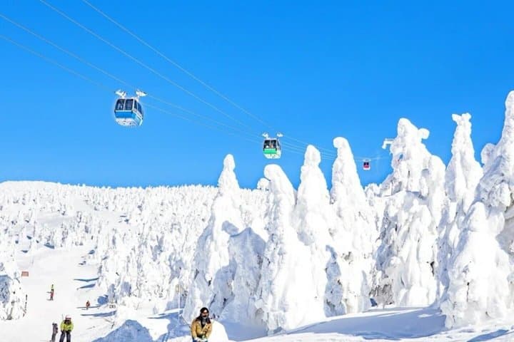 2-Day Tohoku Tour Zao Snow Monsters and Ginzan Onsen — photo 5