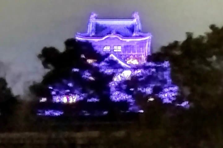 Osaka Castle After Dark: Night Photography Tour — photo 8