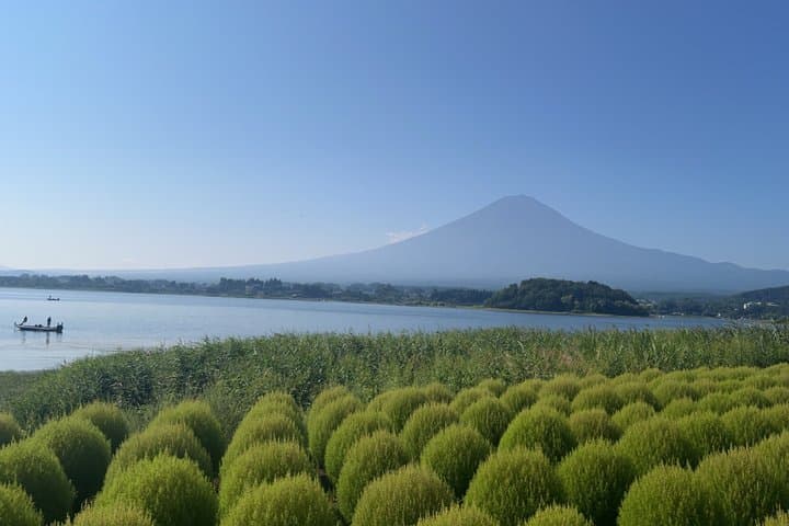 Tokyo Private Airport Transfer — photo 12