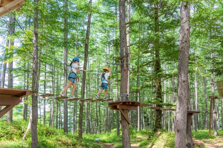 Tree-to-Tree Adventure Park