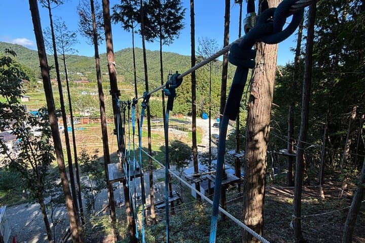 Tree-to-Tree Adventure Park — photo 2