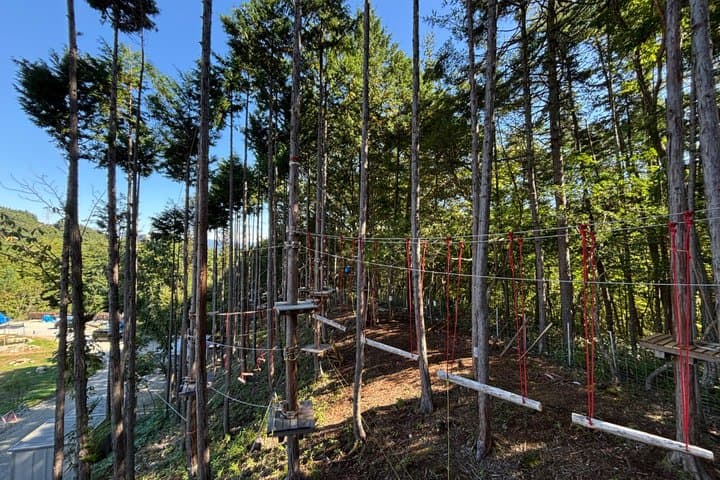 Tree-to-Tree Adventure Park — photo 3