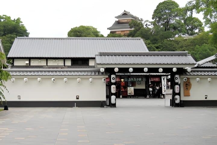 Kumamoto: Samurai Heritage Private Tour with Local Guide — photo 4
