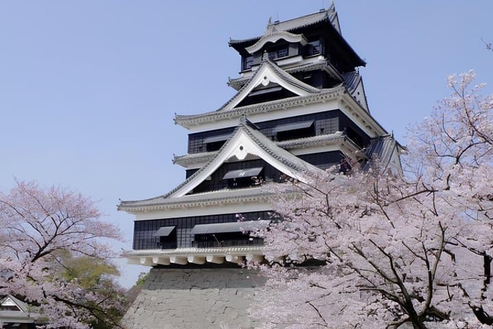 Kumamoto: Samurai Heritage Private Tour with Local Guide