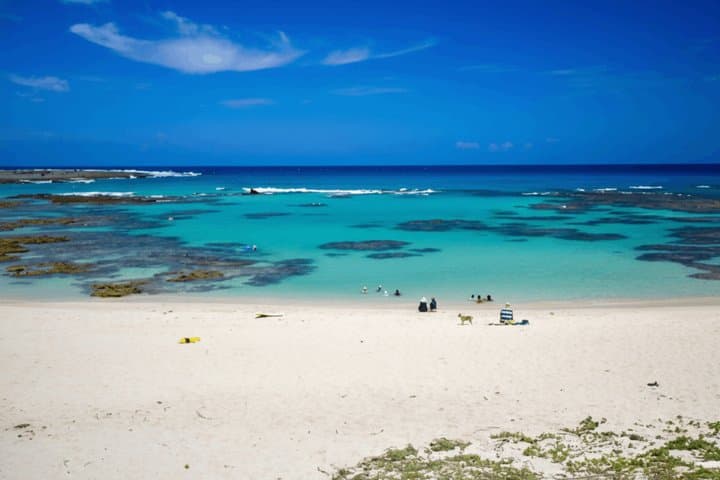 Amami Oshima Island Private Custom Tour with Local Guide