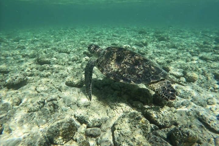 Amami Oshima Island Private Custom Tour with Local Guide — photo 3