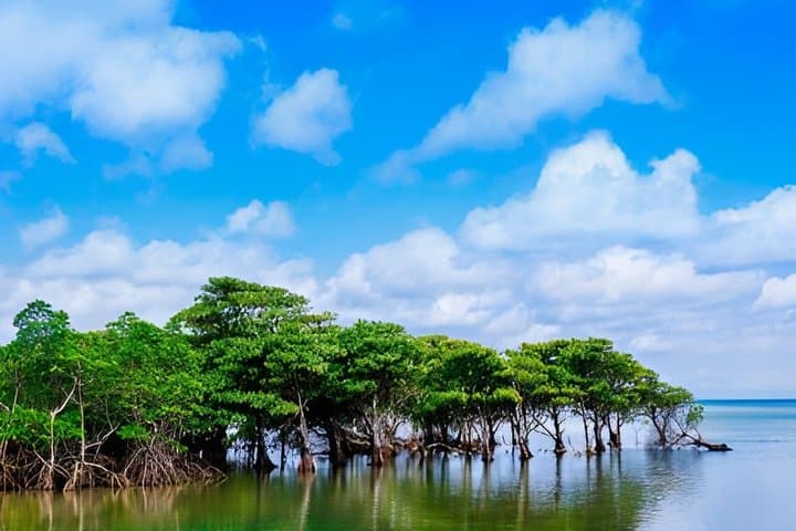 Amami Oshima Island Private Custom Tour with Local Guide — photo 4
