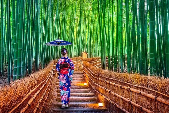 Kyoto & Nara customizeable Luxury Private Day Tour Driver Guide — photo 2
