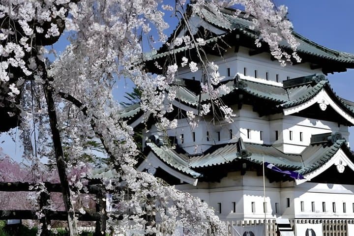Aomori: Private Custom Tour with Local Guide — photo 4