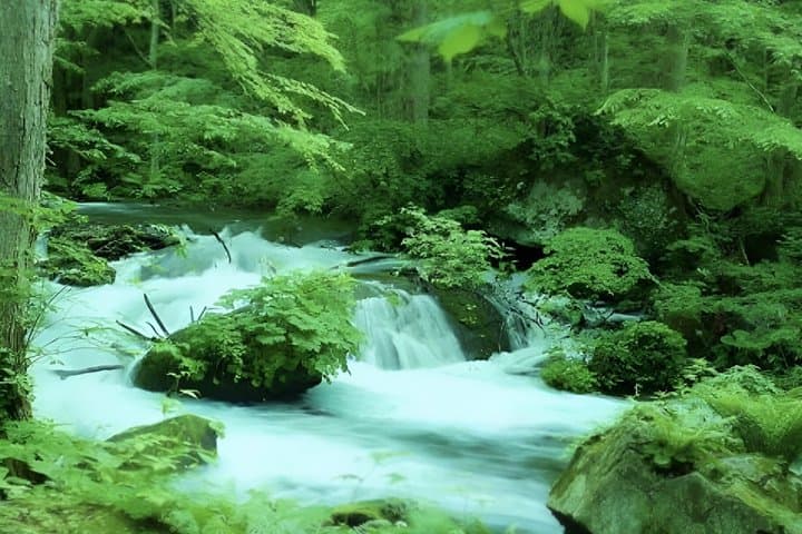 Aomori: Private Custom Tour with Local Guide — photo 3