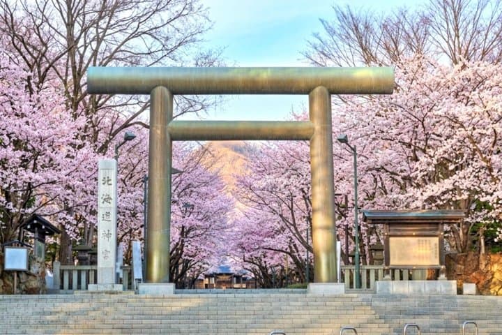 Hokkaido Shrine and Otaru Highlight 1 Day Tour from Sapporo — photo 15