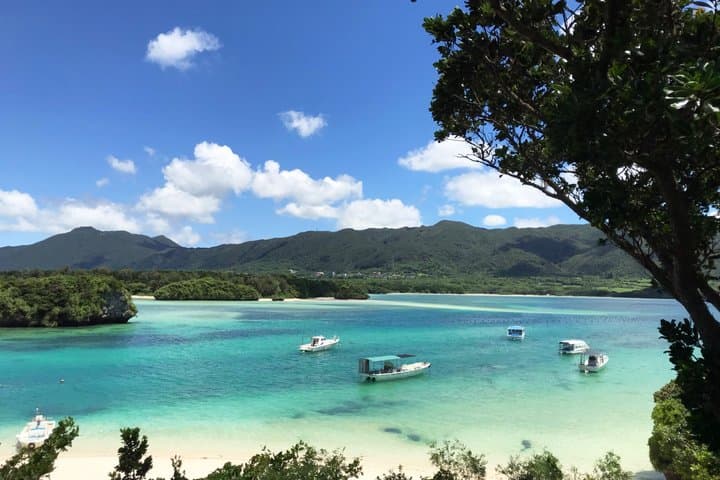 Full day Private Ishigaki Shore Excursion with English Guide — photo 2