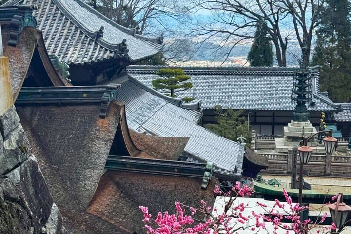 Nara: Hozan-ji Temple Guided Tour with Cable Car Ride — photo 2