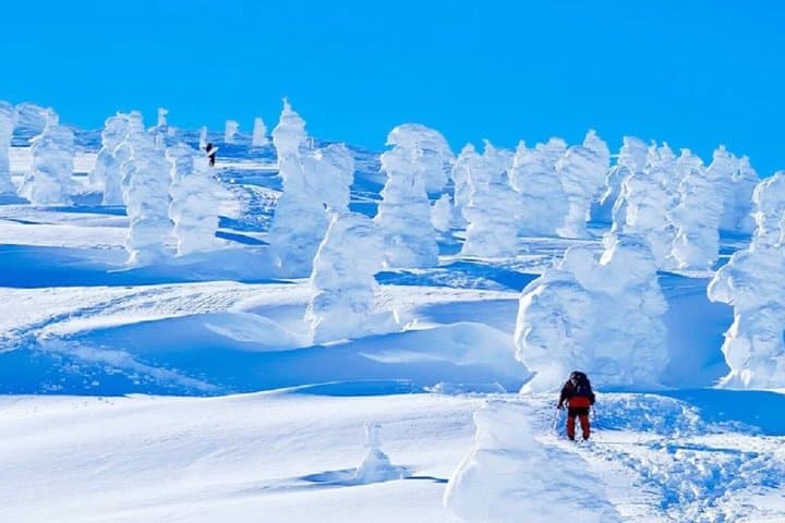 2-Day Tohoku Tour Zao Snow Monsters and Ginzan Onsen — photo 6