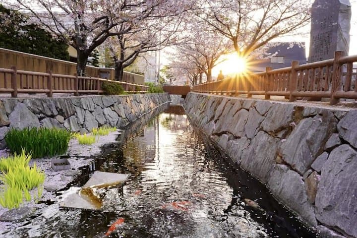 Takamatsu/Kagawa Private Custom Tour with Local Guide — photo 5