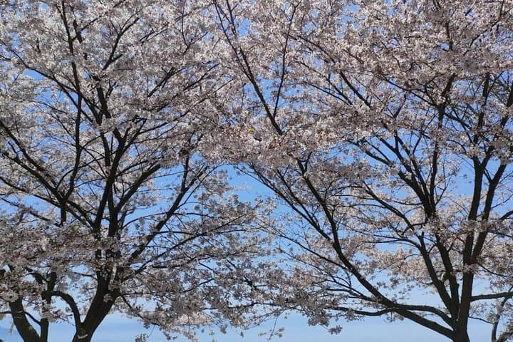 Takamatsu/Kagawa Private Custom Tour with Local Guide — photo 2