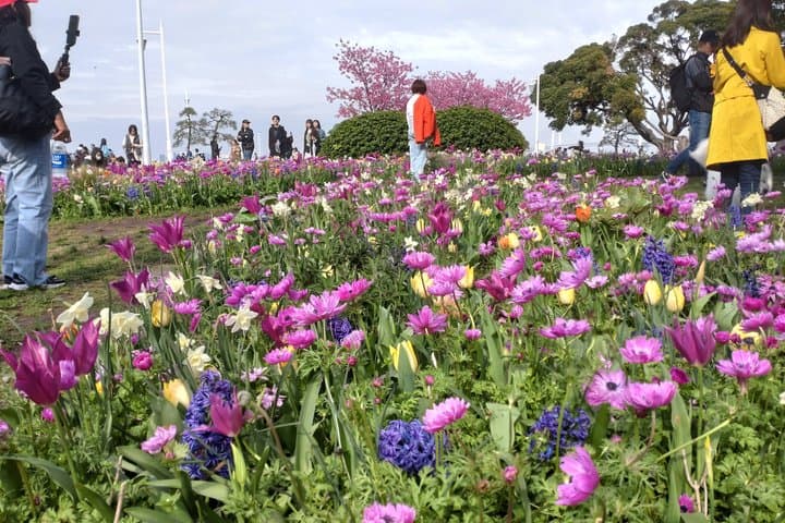 Yokohama City Highlights Tour — photo 3