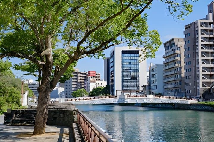 Tokushima Private Custom Tour with Local Guide — photo 7