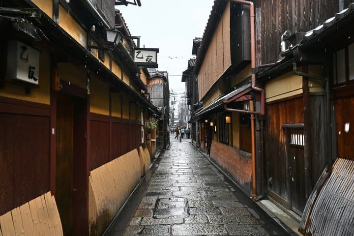 Kyoto & Nara Highlights: Private Alphard Tour with Guide & Driver — photo 3