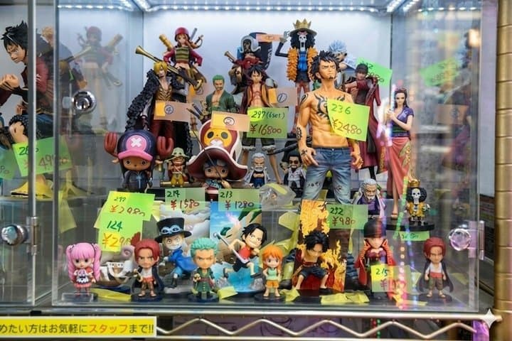 Tokyo Akihabara Anime & Manga Walking Tour with Hidden Gems — photo 8