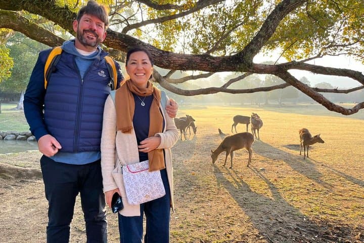 Nara: Sacred Morning Walk with Deer in the Mist — photo 4