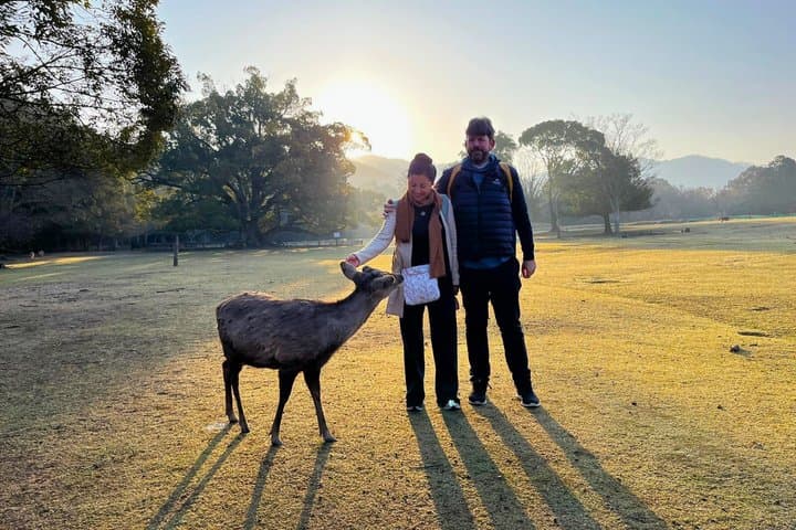 Nara: Sacred Morning Walk with Deer in the Mist
