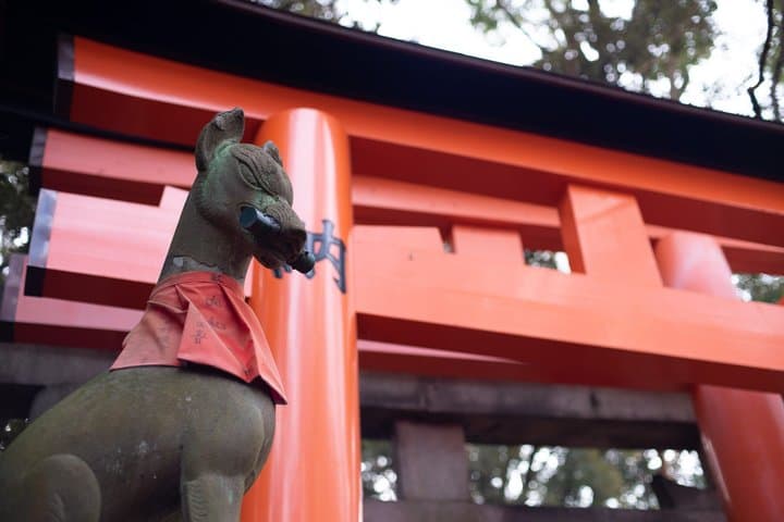 Luxury Kyoto Private Alphard Tour Arashiyama Kinkaku-ji Inari — photo 5