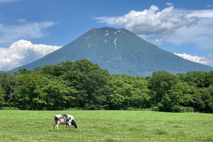 Noboribetsu, Lake Toya and Niseko Day Tour from Sapporo — photo 9
