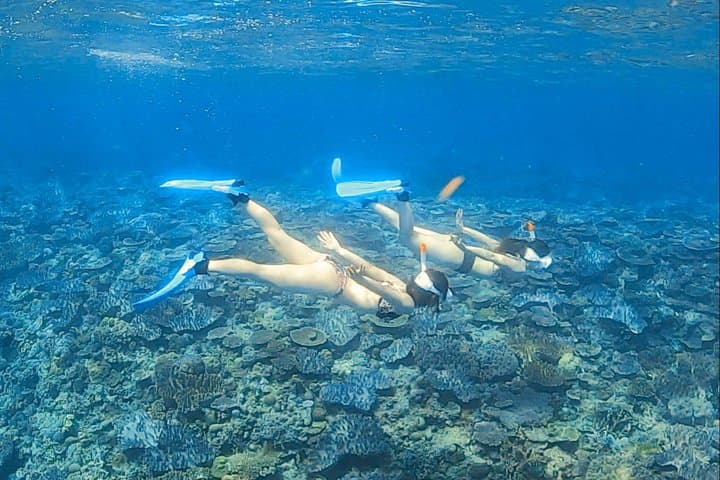 Explore Sesoko Island with Private Snorkeling Tour — photo 3