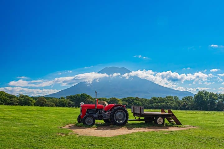 Noboribetsu, Lake Toya and Niseko Day Tour from Sapporo — photo 6
