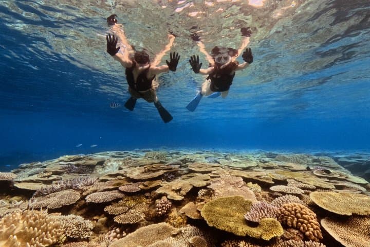 Explore Sesoko Island with Private Snorkeling Tour — photo 10