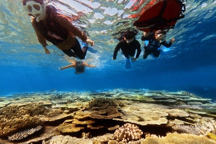 Explore Sesoko Island with Private Snorkeling Tour — photo 5