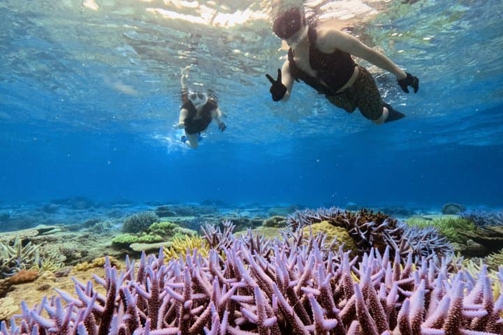 Explore Sesoko Island with Private Snorkeling Tour — photo 11
