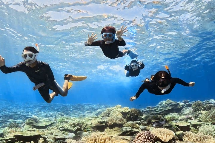 Explore Sesoko Island with Private Snorkeling Tour — photo 7