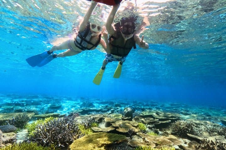 Explore Sesoko Island with Private Snorkeling Tour — photo 13