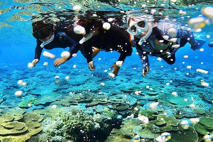 Explore Sesoko Island with Private Snorkeling Tour — photo 16