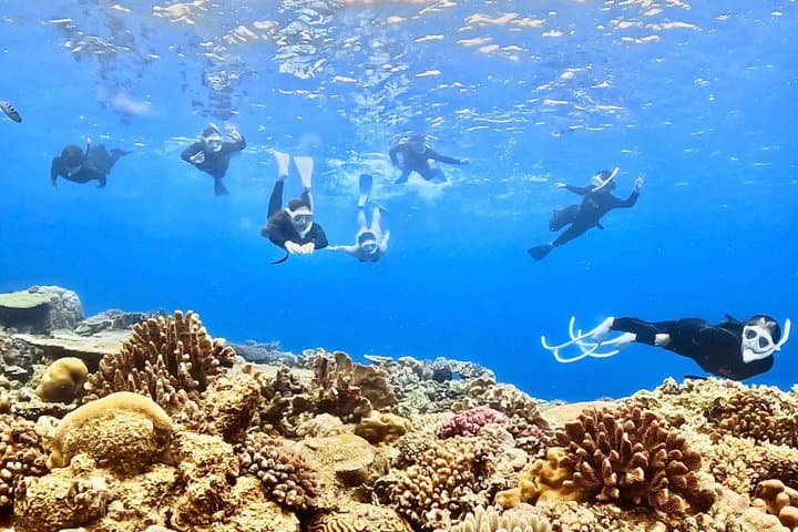 Explore Sesoko Island with Private Snorkeling Tour — photo 17