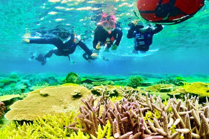 Explore Sesoko Island with Private Snorkeling Tour — photo 18