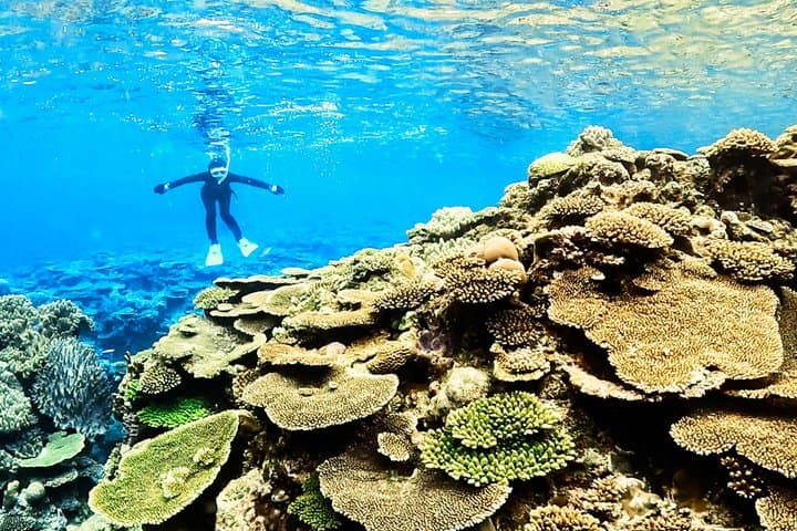 Explore Sesoko Island with Private Snorkeling Tour — photo 20