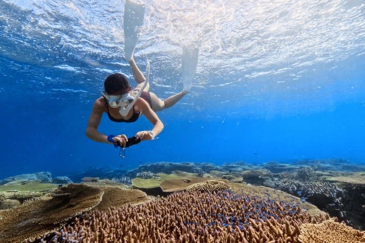 Explore Sesoko Island with Private Snorkeling Tour — photo 8