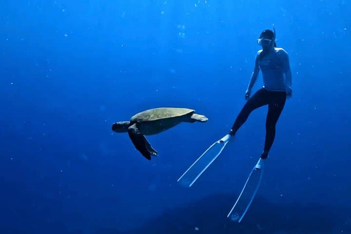 Explore Sesoko Island with Private Snorkeling Tour — photo 9