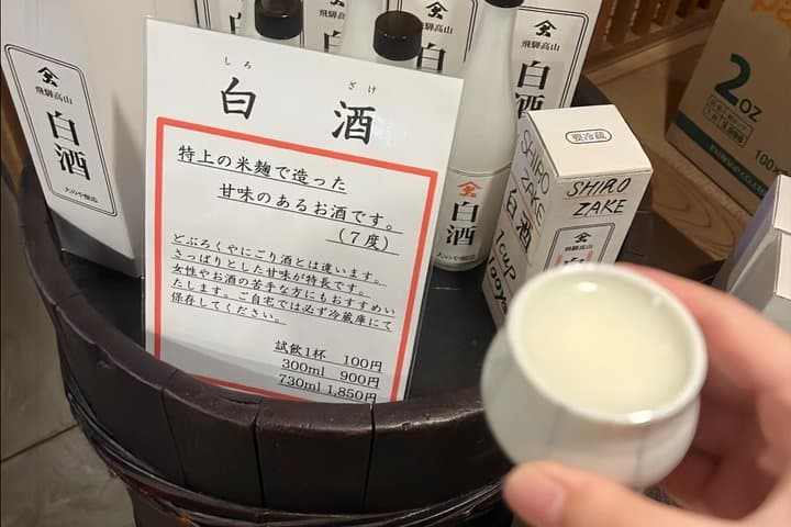 Takayama and Shirakawa-go Day Tour from Nagoya — photo 7