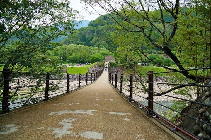 Takayama and Shirakawa-go Day Tour from Nagoya — photo 17