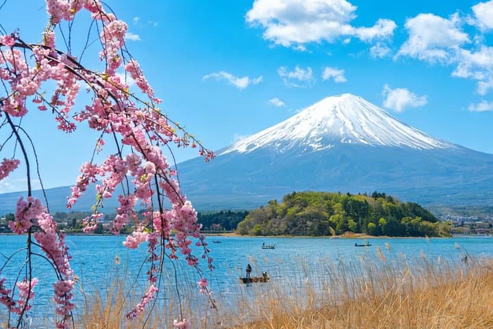 From Tokyo: Mount Fuji Sightseeing Full Day Trip — photo 3