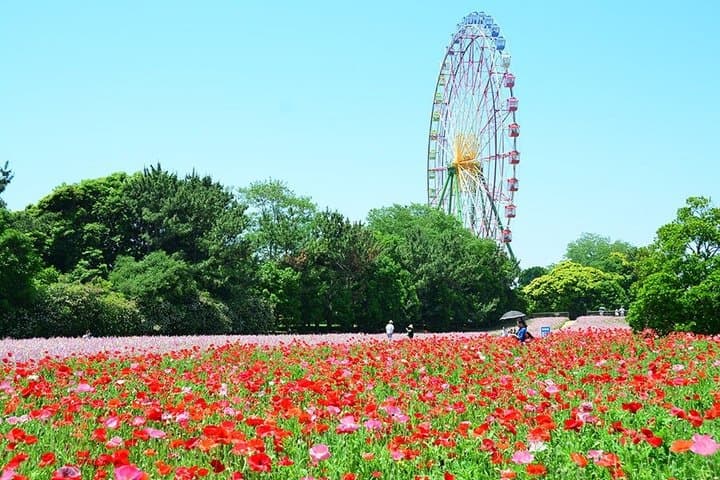 From Tokyo Ashikaga and Hitachi Seaside Park Day Trip — photo 10