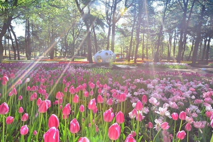 From Tokyo Ashikaga and Hitachi Seaside Park Day Trip — photo 13