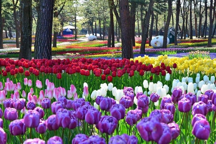 From Tokyo Ashikaga and Hitachi Seaside Park Day Trip — photo 15